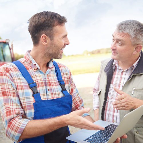 Modern farmers over the laptop