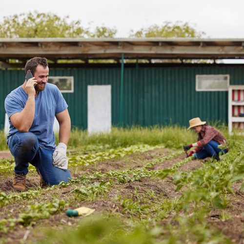 Phone call, farmer or happy sustainability agriculture couple with 5g tech planning export sale dea.