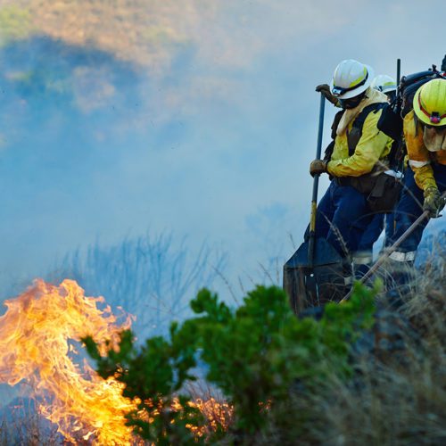 Where theres smoke, theres fire and fire fighters. Shot of fire fighters combating a wild fire