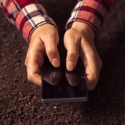 Farmer using smartphone, female hands using mobile phone over soil ground